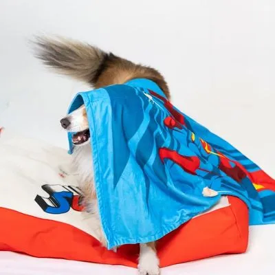 DC Superman huisdierdeken - L 100 x B 70 cm