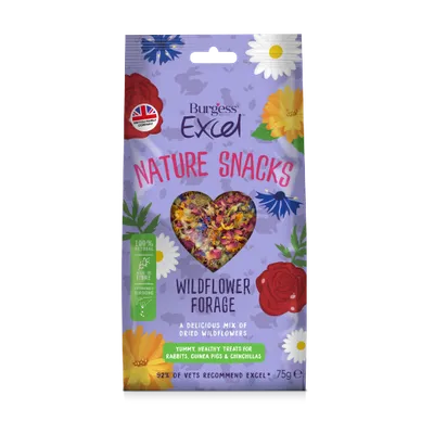 Burgess Excel Nature Snacks Wildflower Forage - 75g Burgess Excel Nature Snacks Wildflower Forage - 75g