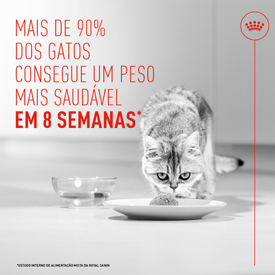 Mais de 90% dos gatos alcançam um peso mais saudável em 8 semanas. Estudo interno da Royal Canin.