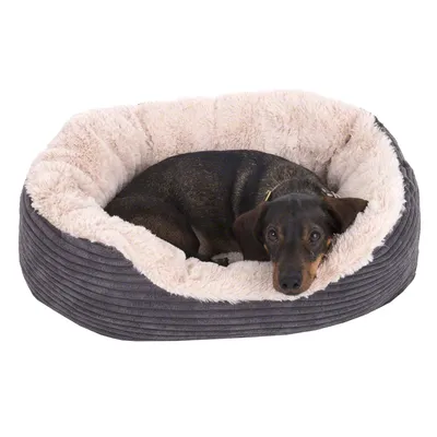 Hund i grå hundbädd med mjuk, ljus insida av tyg. Bädden har höga kanter och ribbad utsida.