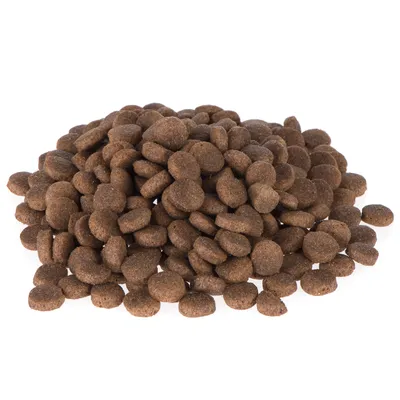 Croquettes brunes en forme de petits disques, présentées en tas sur fond blanc. Aucun emballage ni marque visible.
