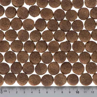 Närbild av bruna, runda bitar av torrfoder med linjal nedtill för storleksangivelse i centimeter.