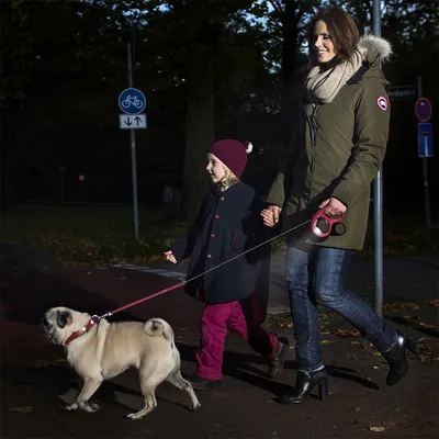 Femme tenant une laisse extensible rouge avec un carlin en harnais rose, marchant à côté d'une enfant habillée en manteau foncé et bonnet bordeaux sur un trottoir la nuit.