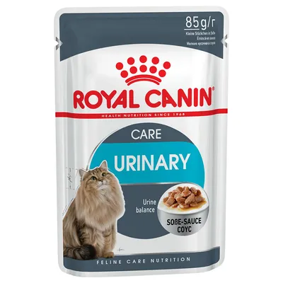 Royal Canin Care Urinary nourriture pour chats en sauce, 85g. Favorise l’équilibre urinaire. Emballage du produit avec chat et morceaux de nourriture en sauce.