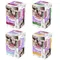 Sparpaket animonda Integra Protect Adult Diabetes 24 x 100 g Mix (4 Sorten gemischt)