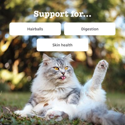 Zesty Paws Cat Anti-Hairball Paste