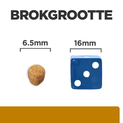 Brokformaat: brok van 6,5 mm naast een dobbelsteen van 16 mm ter vergelijking. Tekst 'BROKGROOTTE' bovenaan zichtbaar.