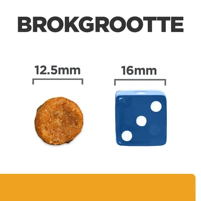 Brokformaat: links een brok van 12,5 mm diameter, rechts een blauwe dobbelsteen van 16 mm ter vergelijking. Tekst: 'BROKGROOTTE', maten 12,5 mm en 16 mm zichtbaar.