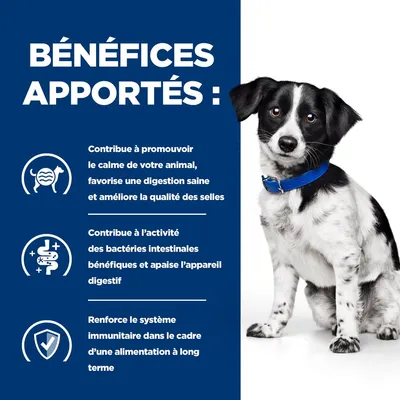 BÉNÉFICES APPORTÉS : calme, digestion saine, qualité des selles, activité des bactéries intestinales, apaise l’appareil digestif, renforce le système immunitaire à long terme.