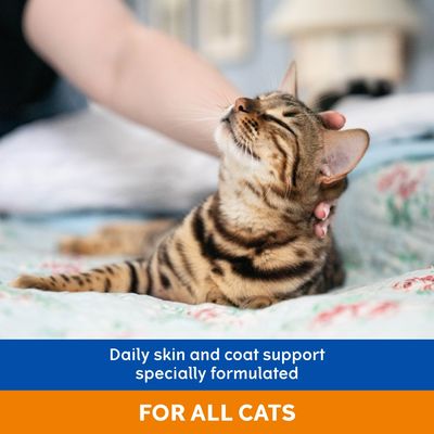 Daily skin and coat support, specially formulated for all cats. Image shows a cat being stroked, highlighting product use for feline skin and coat care.