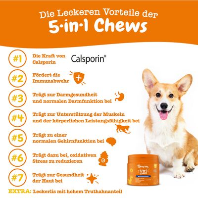 Besedilo v nemščini: Die Leckeren Vorteile der 5-in-1 Chews. Calsporin. 7 koristi, vključno z imunostjo, zdravjem prebave, mišic, možganov, kože in zmanjšanjem stresa. Extra: visok delež purana.