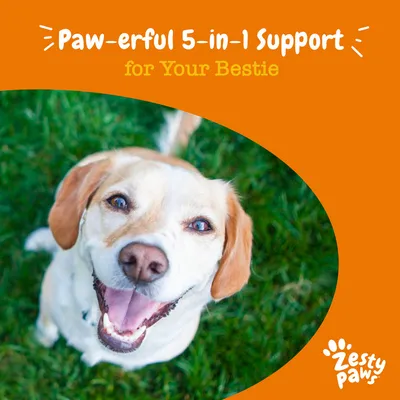Tekst: Paw-erful 5-in-1 Support for Your Bestie, Zesty Paws. Tekst w języku angielskim. Tekst: Paw-erful 5-in-1 Support for Your Bestie, Zesty Paws. Tekst w języku angielskim.