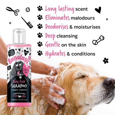 Shampoo being applied to a dog, with features listed: long lasting scent, eliminates malodours, deodorises and moisturises, deep cleansing, gentle on skin, hydrates and conditions.