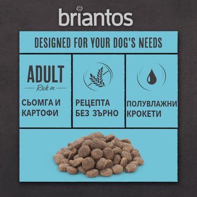 briantos. Сьомга и картофи, рецепта без зърно, полувлажни крокети. Изображение на купчина кафяви крокети върху син фон.