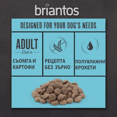 briantos. Сьомга и картофи, рецепта без зърно, полувлажни крокети. Изображение на купчина кафяви крокети върху син фон.