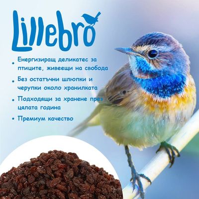 Lillebro. Енергизиращ деликатес за птици, живеещи на свобода. Без остатъчни шлюпки и черупки. Подходящи за хранене през цялата година. Премиум качество.