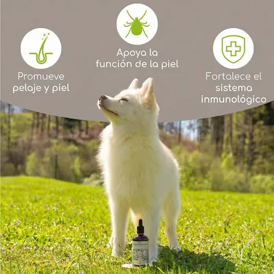 Wolfsbacher Natur Aceite de semilla de comino negro ecológico - 100 ml