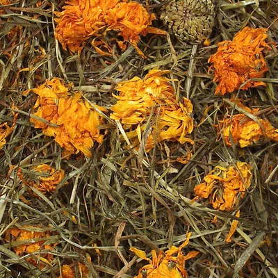 Torkade ringblommor och hö, naturlig blandning av växtmaterial.