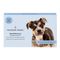 Wisdom Panel™ Breed Discovery Dog DNA Test 1 Test
