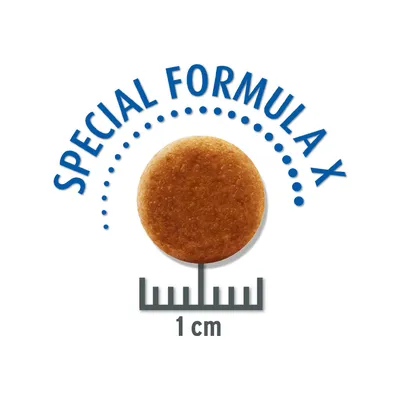 Krokettien koko 1 cm, merkinnällä 'Special Formula X'.