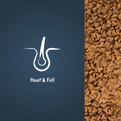 Symbol für Haut und Fell neben einer Nahaufnahme von braunem Trockenfutter.