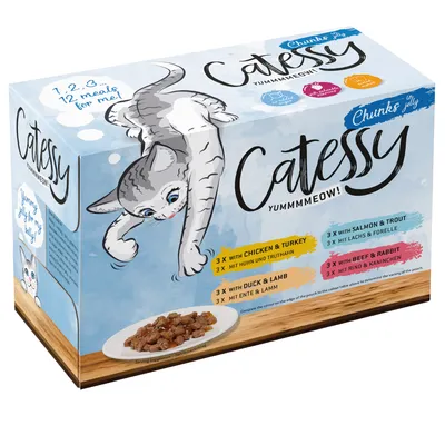 Catessy Chunks in Jelly, pack of 12: 3x chicken & turkey, 3x duck & lamb, 3x salmon & trout, 3x beef & rabbit. Serving suggestion shown.