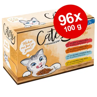 Catessy Yummmeow! kattefoder, 96 x 100 g. Mixpakke med varianter: oksekød i tomatgele, and i gulerodsgele, laks i spinatgele, kylling i æggegele. Tekst: Makes me feel so good!