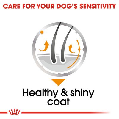 Tekst: CARE FOR YOUR DOG'S SENSITIVITY, Healthy & shiny coat. Grafika przedstawiająca włosy i skórę z pomarańczowymi strzałkami.