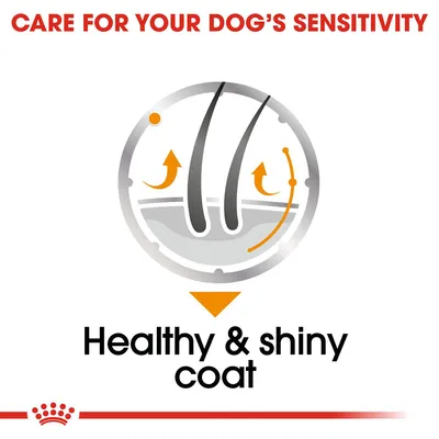 Tekst: CARE FOR YOUR DOG'S SENSITIVITY, Healthy & shiny coat. Grafika przedstawiająca włosy i skórę z pomarańczowymi strzałkami.