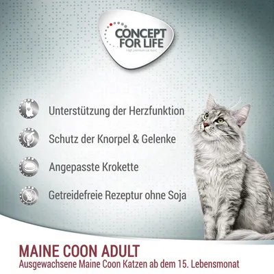 Concept for Life Maine Coon Adult. Sydämen toiminnan tuki, rustojen ja nivelten suoja, mukautettu nappula, viljaton resepti ilman soijaa. Kissoille 15 kuukaudesta alkaen.