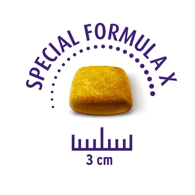 Geel vierkant voerblok met het opschrift 'Special Formula X' en een maat van 3 cm.