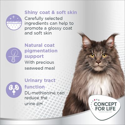 Concept for Life Beauty Adult - Vylepšená receptura!
