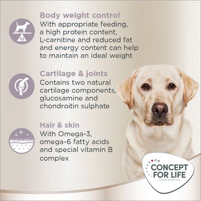 Concept for Life Labrador Sterilised 