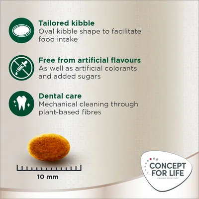 Concept for Life Persian Adult - Vylepšená receptura! - 3 kg 