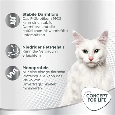 Texte en allemand : Stabile Darmflora, Niedriger Fettgehalt, Monoprotein. Logo Concept for Life. Avantages du produit listés en allemand.