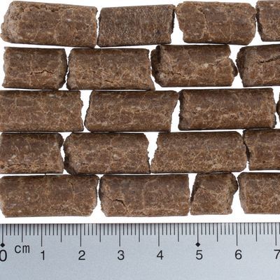 Lukullus kallpressat Barbary Duck & Lamm