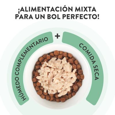 Schesir Complements Filete en gelatina 6 x 70 g en bolsitas