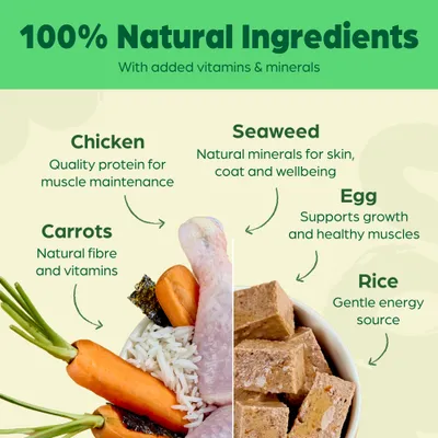 Naturediet Feel Good Puppy - Chicken - Multibuy: 36 x 390g