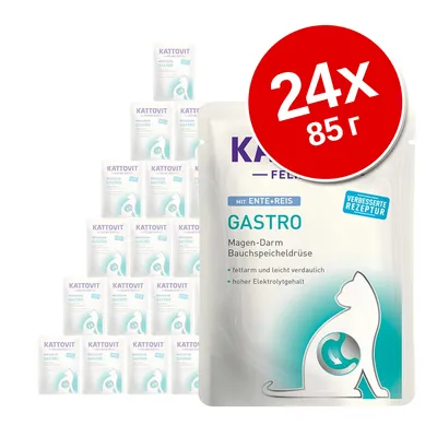 Kattovit Gastro с уткой и рисом, 24×85 г. Видны надписи: 'Magen-Darm Bauchspeicheldrüse', 'феттарм und leicht verdaulich', 'hoher Elektrolytgehalt', 'Verbesserte Rezeptur'.