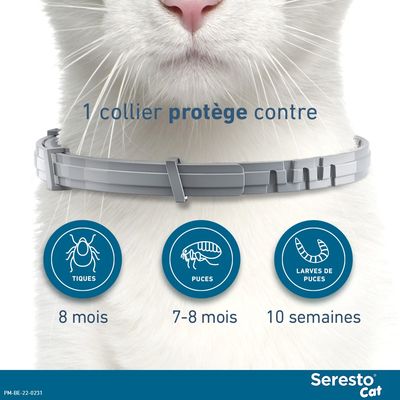 Seresto® Collier chat