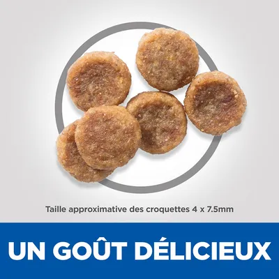 Croquettes rondes, taille approximative 4 x 7,5 mm. Texte visible : UN GOÛT DÉLICIEUX.