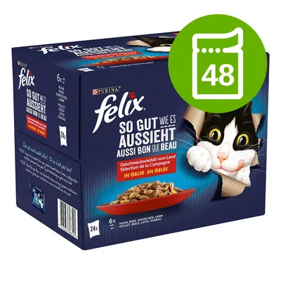 Opakowanie Felix So gut wie es aussieht, 48 saszetek. Widoczny kot i miska karmy w galarecie. Smaki: kurczak, wołowina, królik, jagnięcina. Tekst na opakowaniu w języku niemieckim.