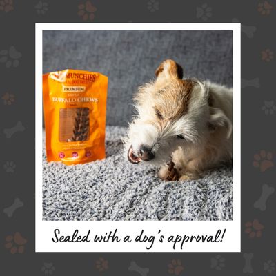 Pet Munchies Dental Chews - Small