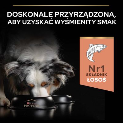 Purina Pro Plan miska na karmę, pies je. Tekst: Nr 1 składnik, łosoś.