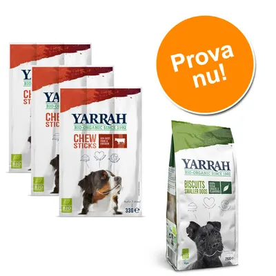 Yarrah BIO-ORGANIC SINCE 1992 Chew Sticks 33 g, synlig hundbild, samt Yarrah Biscuits Smaller Dogs 250 g. Orange cirkel med texten: Prova nu!