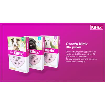 Obroża Kiltix dla psów, opakowania w trzech rozmiarach: 38 cm, 53 cm, 70 cm. Widoczny tekst: zabija pchły i kleszcze po 24 godzinach, ochrona do 7 miesięcy.