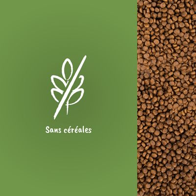 Croquettes en vrac à droite, icône épi barré et texte « Sans céréales » visibles à gauche sur fond vert.