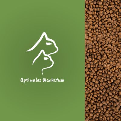 Grüner Hintergrund mit Silhouetten von Hund und Katze. Text: Optimales Wachstum. Rechts braune Trockenfutterstücke.