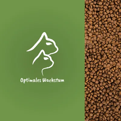 Texte en allemand : Optimales Wachstum, silhouettes de chien et chat, croquettes visibles à droite. Texte non traduit.
