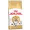 Royal Canin Norwegian Forest Cat Adult - cat dry food 2kg